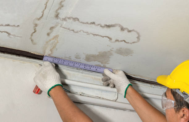 Affordable Basement Flood Cleanup solutions in Drybranch, WV